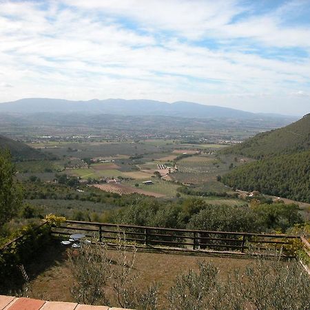 Agriturismo Istrice Innamorato Campello sul Clitunno Eksteriør bilde